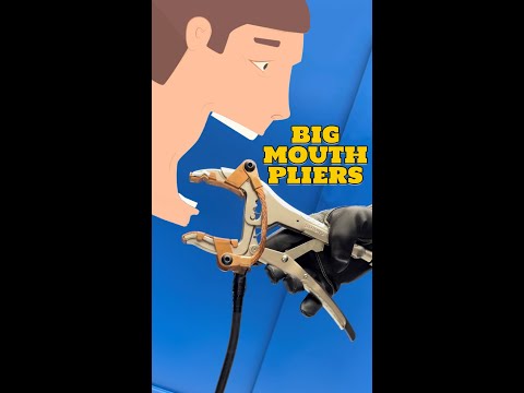 Cargar vídeo: 